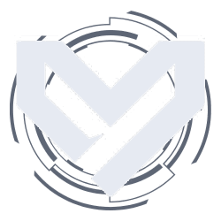 Vital Security